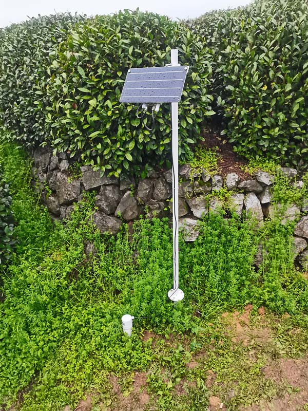 杭州西湖龙井村茶园土壤墒情监测系统项目